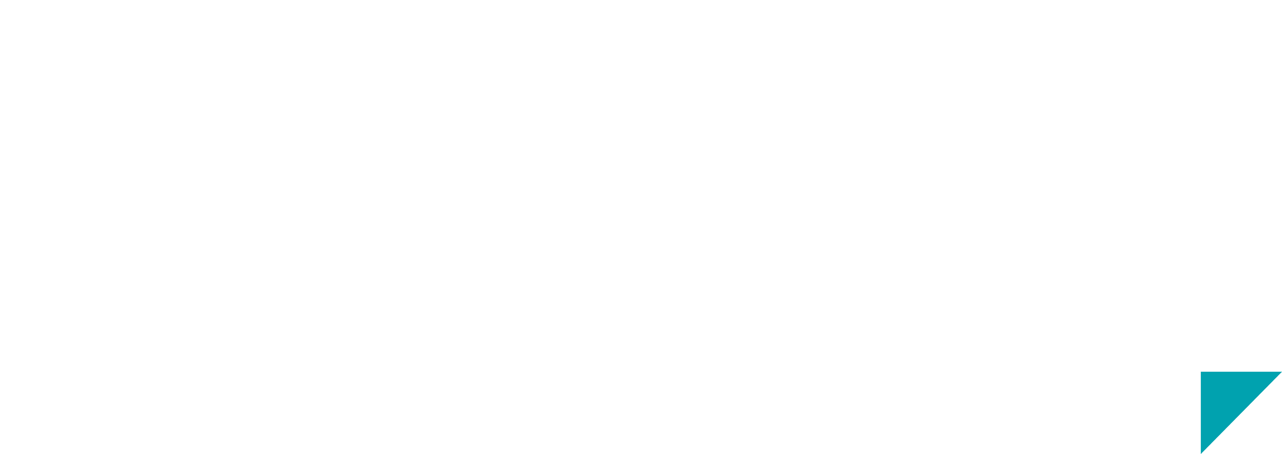 JSI Logo Reversed (White)-2